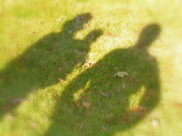 Rhonda Penny Lawyers